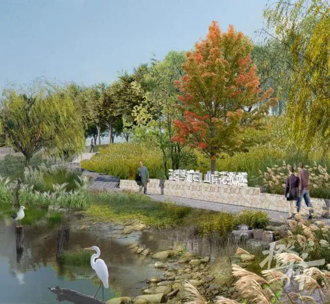 杭州将建比4个西溪湿地还大的湿地公园
