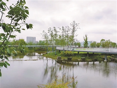 杭州5个项目首次入选全省海绵城市建设典型案例